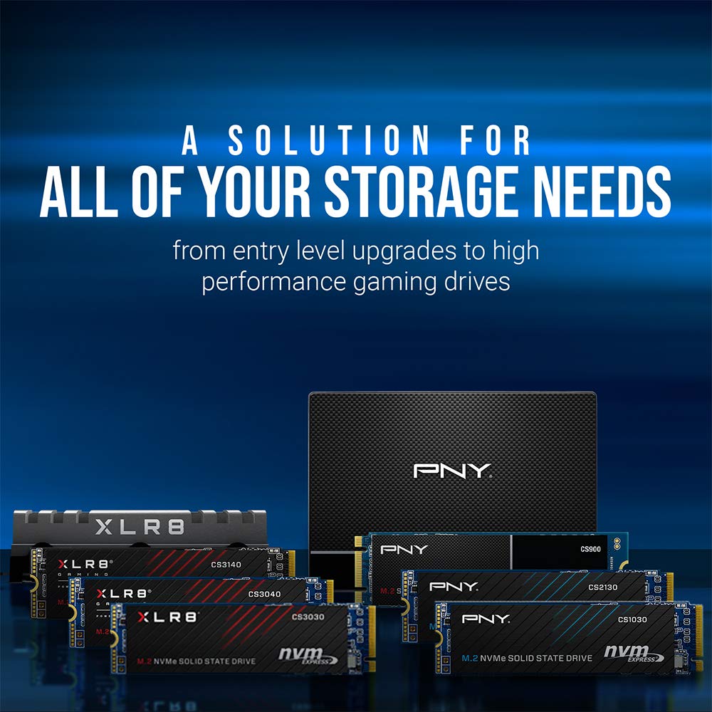 PNY Sata Ssd 250 GB  (CS900 SSD)